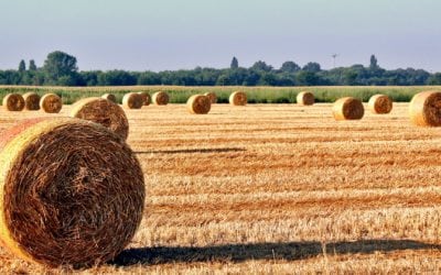 Aidons nos agriculteurs !