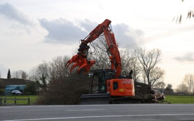 Les Evregniens dénoncent un abattage massif d’arbres …