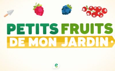 Des petits fruits pour de grands effets